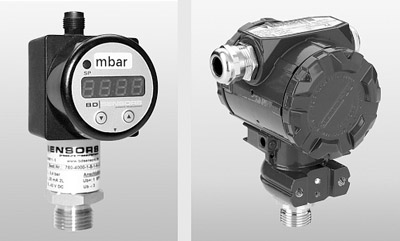BD Sensors RUS